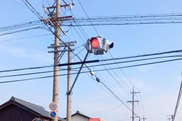 もうすぐ見納め。